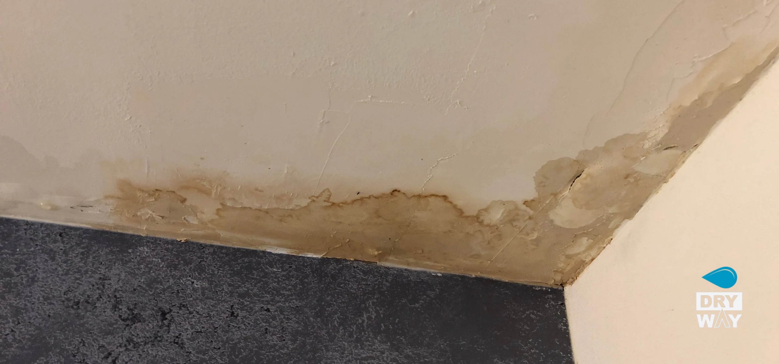 Penthouse and Rooftop Slab Leak Repair Sydney